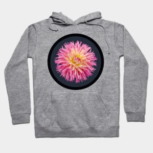 Pink Semi Cactus Dahlia Flower Circle Frame Hoodie